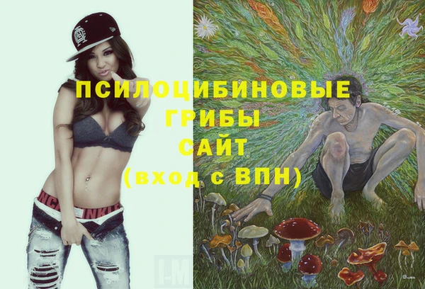 каннабис Абаза