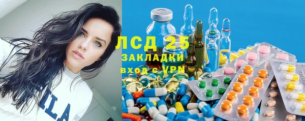 ешки Алексин