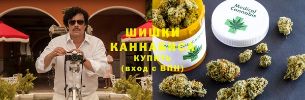 ешки Алексин