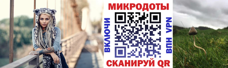 Галлюциногенные грибы мицелий  Болхов 